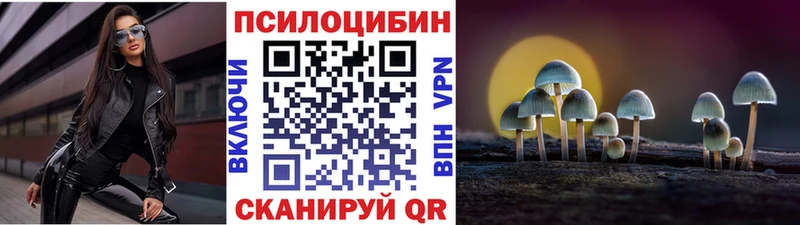 Псилоцибиновые грибы GOLDEN TEACHER Новопавловск